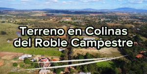 COLINAS DEL ROBLE-01