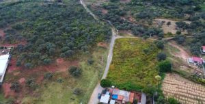 COLINAS DEL ROBLE-02