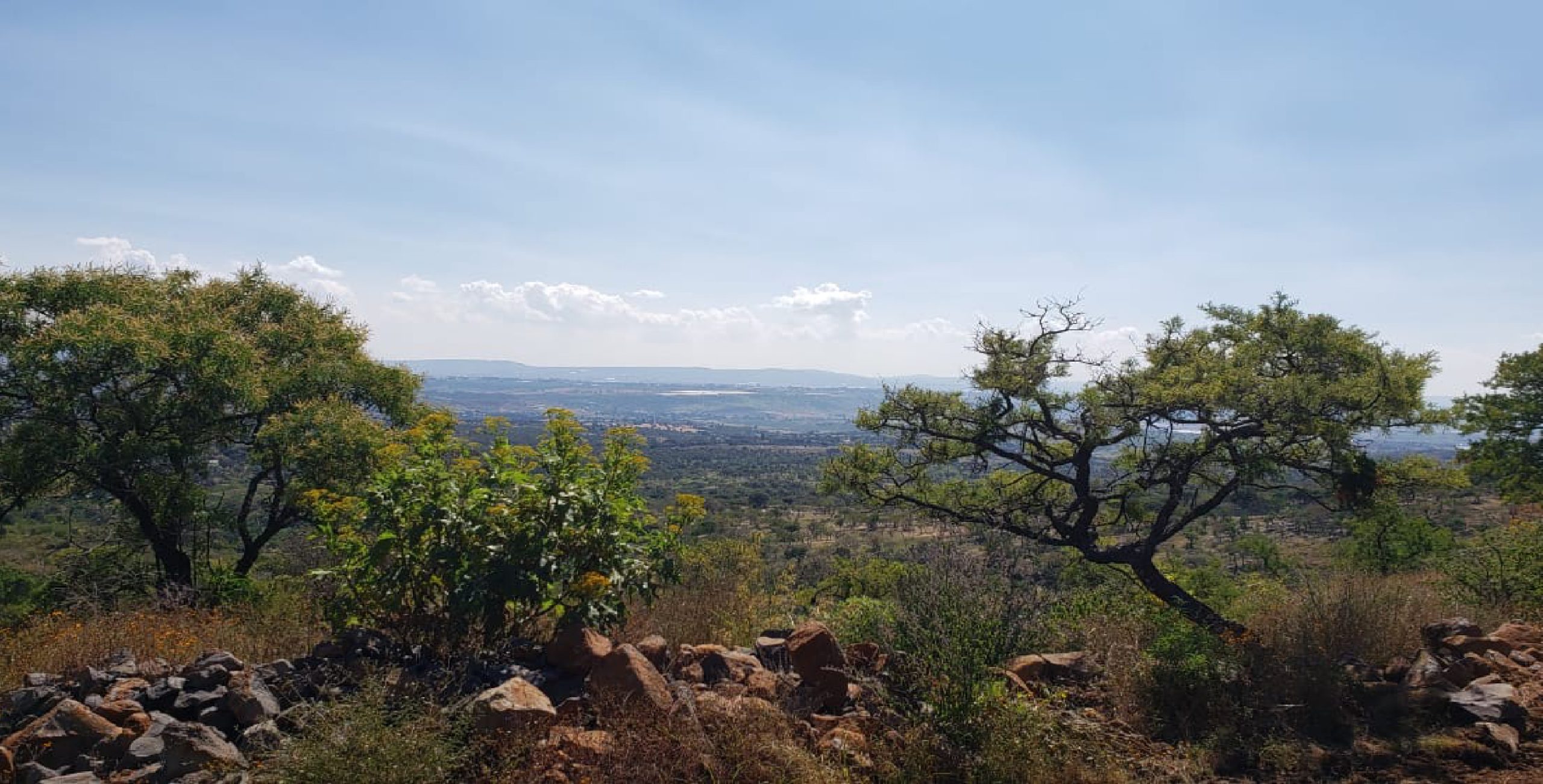 COLINAS DEL ROBLE-04