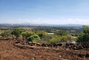 COLINAS DEL ROBLE-05